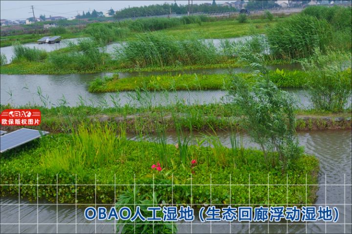 云南红河州河道治理旁路人工湿地（欧保环境）