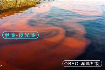 28种常见水华及治理措施（OBAO-01甲藻）