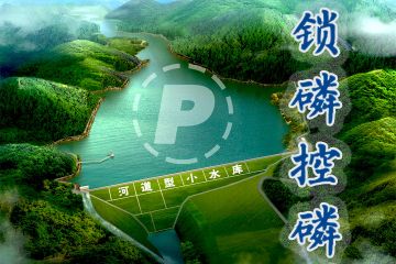 用锁磷剂降低河道型水库总磷