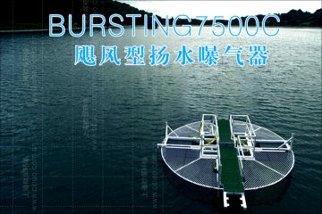 水库水体分层水质恶化问题及扬水曝气解决方法