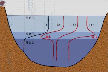 水库封闭水体的MOM与水质控制