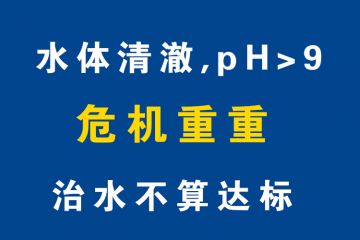 水下森林清澈见底pH值高，水质不算达标