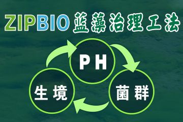 蓝藻，地球的功臣与魔鬼？ZIPBIO蓝藻治理工法实现蓝藻的资源化利用