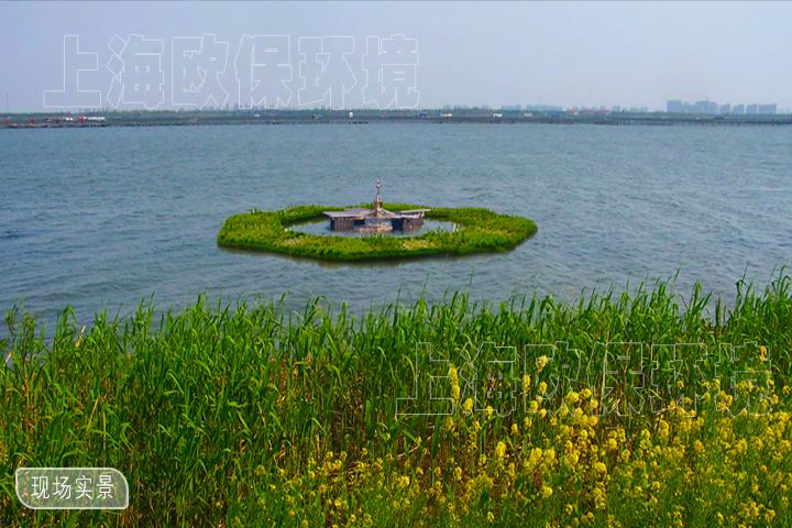 水库水源地治理案例