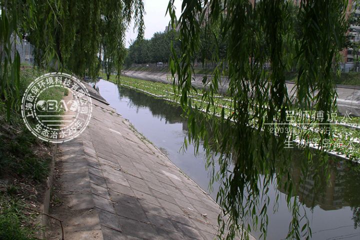 2003年欧保环境第一款生物浮岛用于北京河道治理