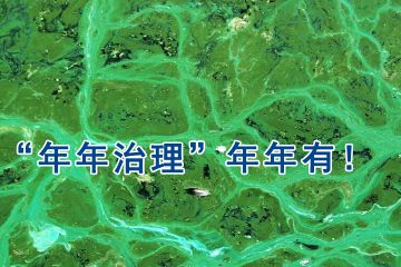 为什么蓝藻治理年年高调治还年年有 为什么蓝藻治理年年高调治还年年有