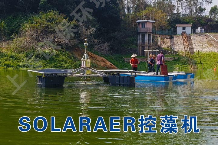 太阳能控藻机消除桥内水库水质富营养化