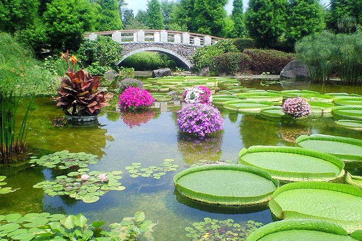 欧保环境的水上漂浮花园