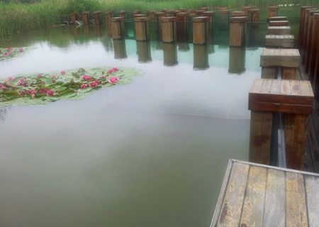 浙江5A景区，大型观赏鱼水下廊道水质浑浊，不见鱼游
