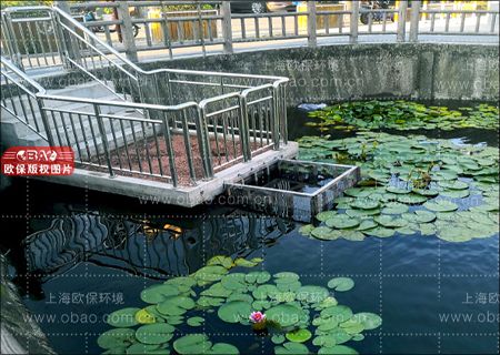 生态河道治理强化技术