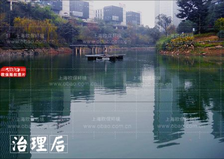 太阳能曝气机控制水库水华