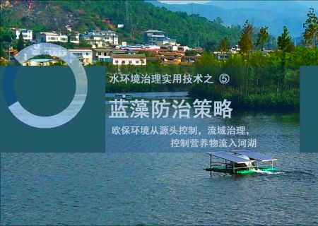源头治理控制蓝藻
