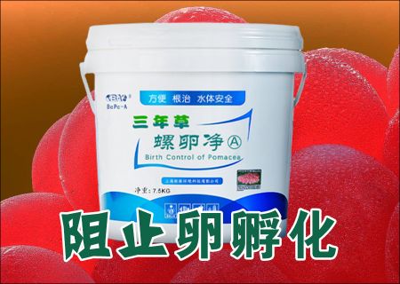 三年草螺卵净(PCBC)，灭杀福寿螺的卵块消除福寿螺的危害