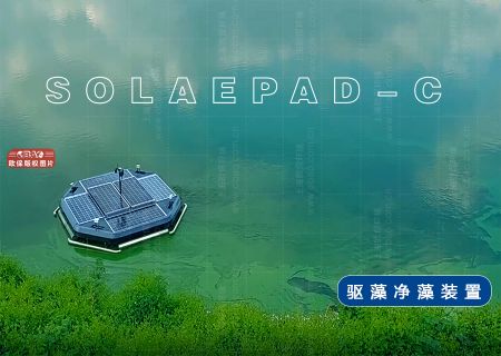 快速消除水库蓝藻水华