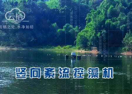 竖向紊流控藻机