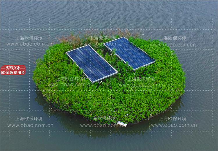 河道治理