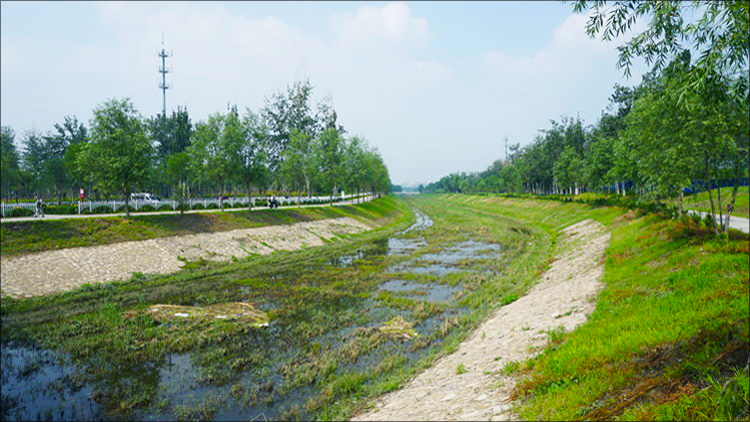 生态河道治理