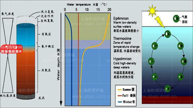 水源地
