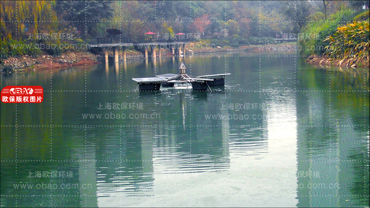 水源地