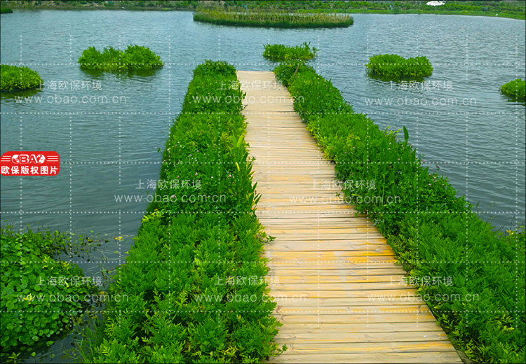 生态清洁小流域