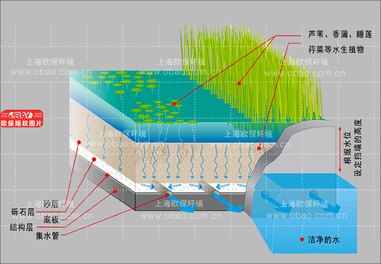 蓝藻治理