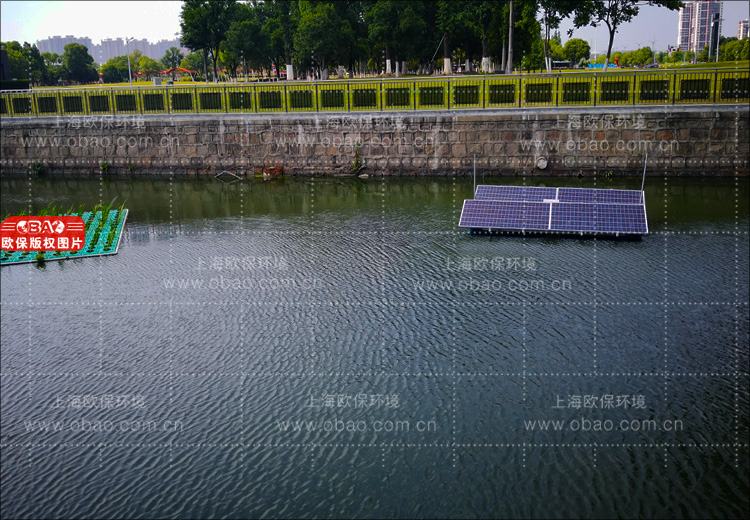 蓝藻治理
