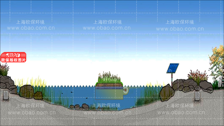 蓝藻治理