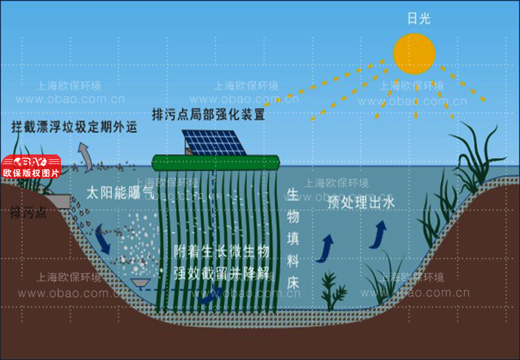 入河排污口
