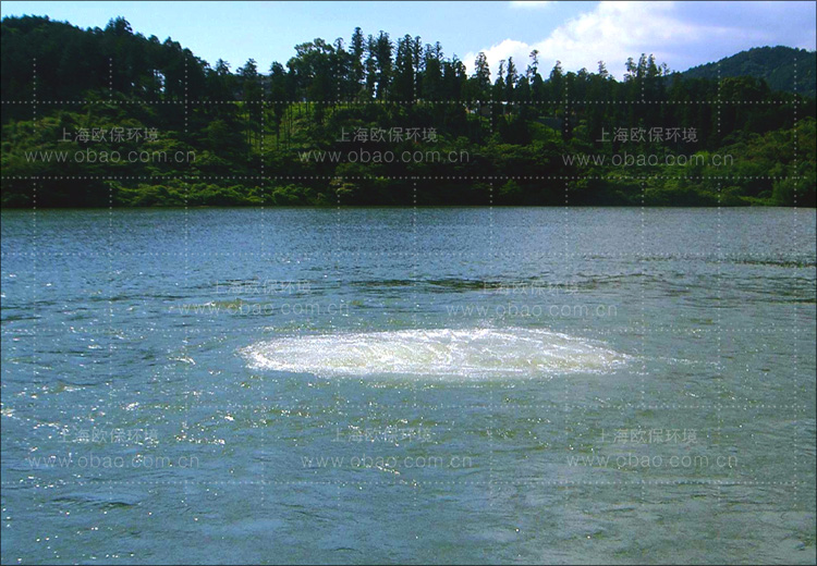 BRSTING液气能曝气