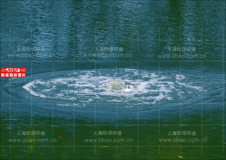 BRSTING液气能曝气