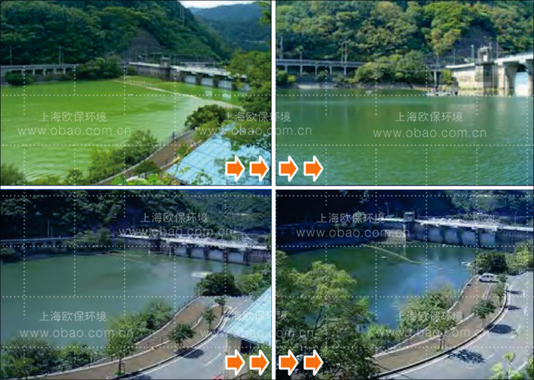蓝藻治理