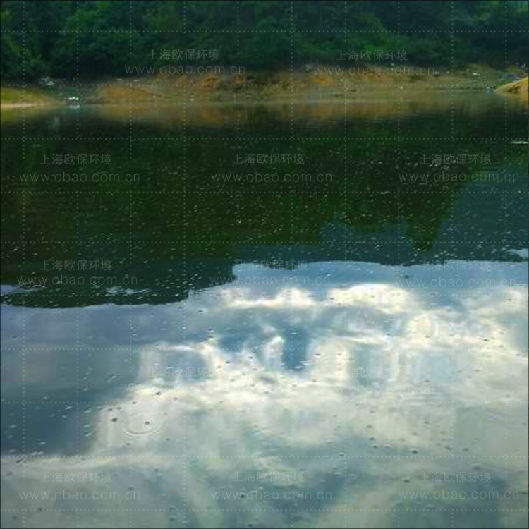 水库缺氧