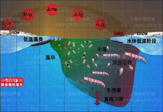 治理蓝藻