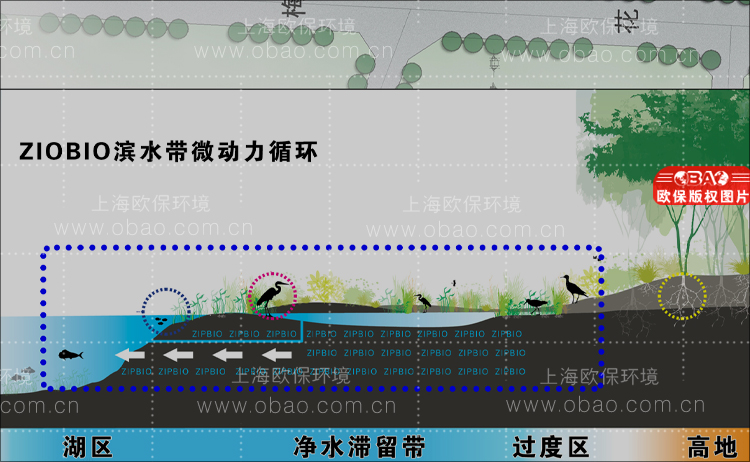 人工湿地