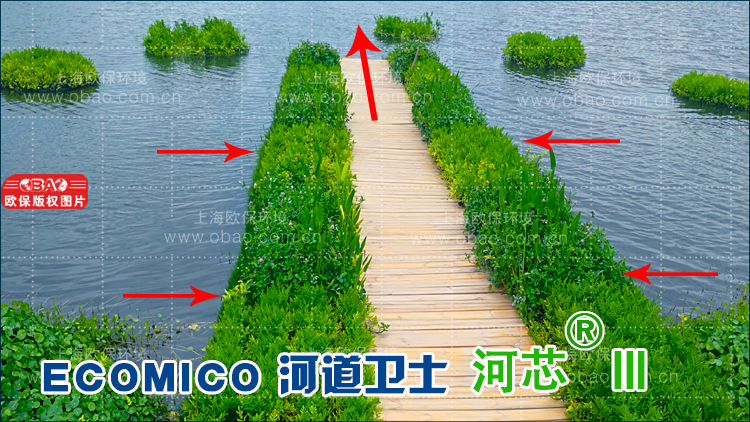河道卫士