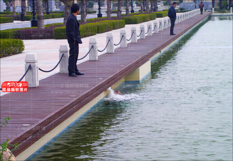 蓝藻治理