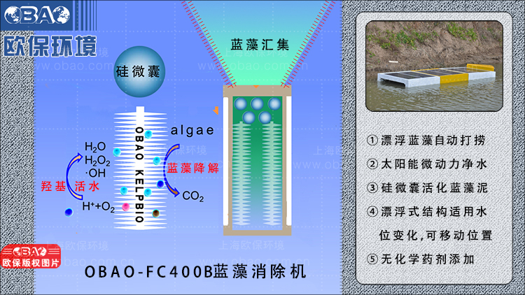 蓝藻治理.jpg