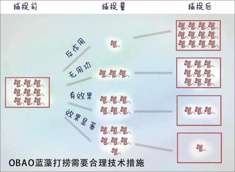 打捞蓝藻