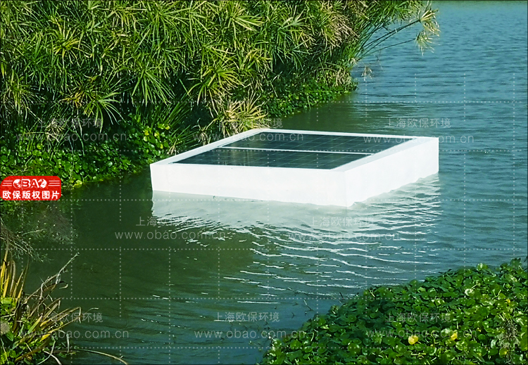 蓝藻治理.jpg