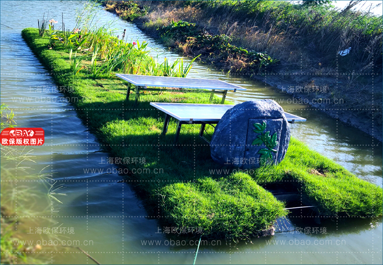 蓝藻治理.jpg