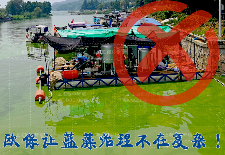 蓝藻治理