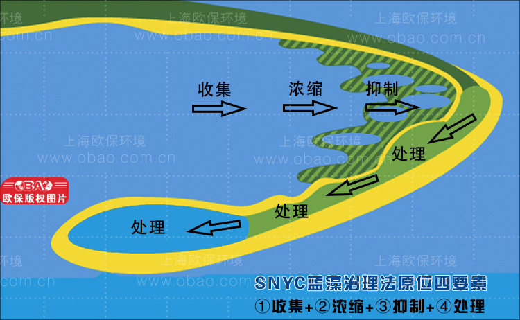蓝藻治理