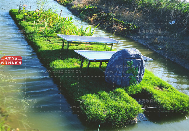 治理蓝藻