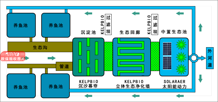 渔业养殖尾水治理