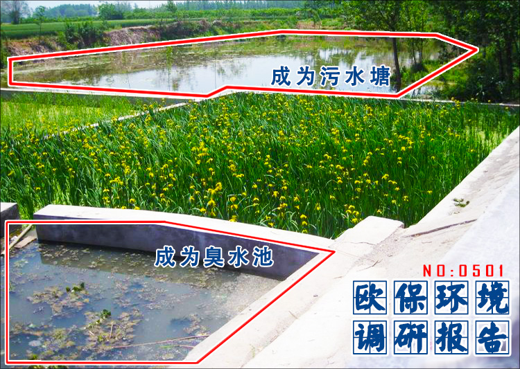 农村污水处理