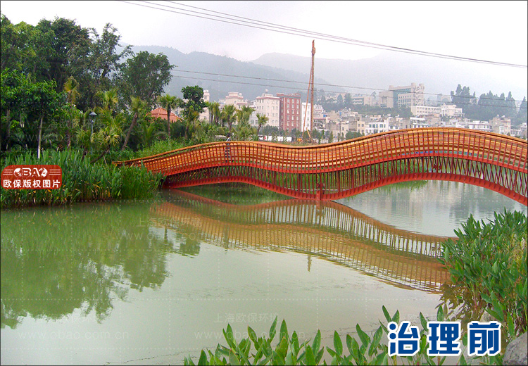 景观水