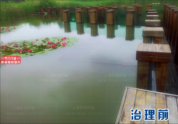 鱼池过滤系统