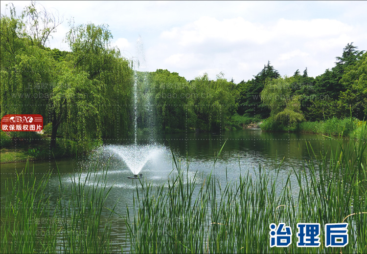景观水水处理