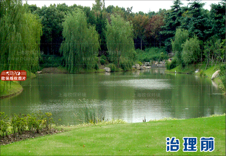 景观水
