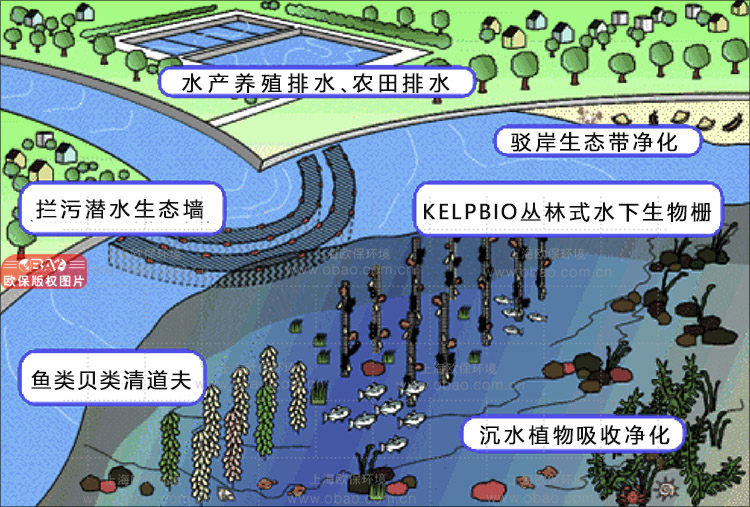 坑塘治理